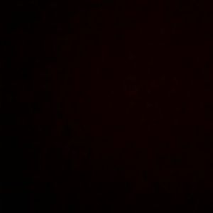 Meet your Posher, Rosalinda